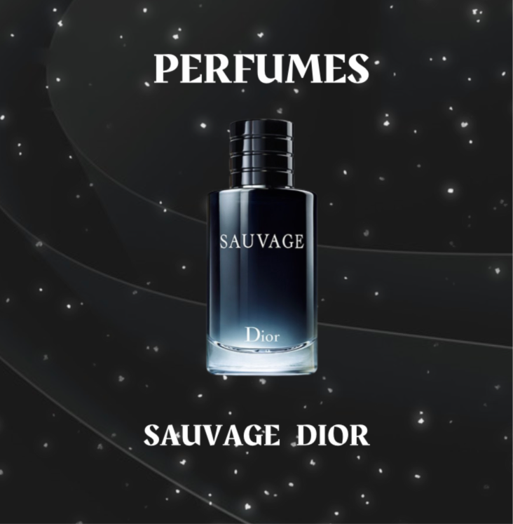 Perfume Sauvage Dior 100ML